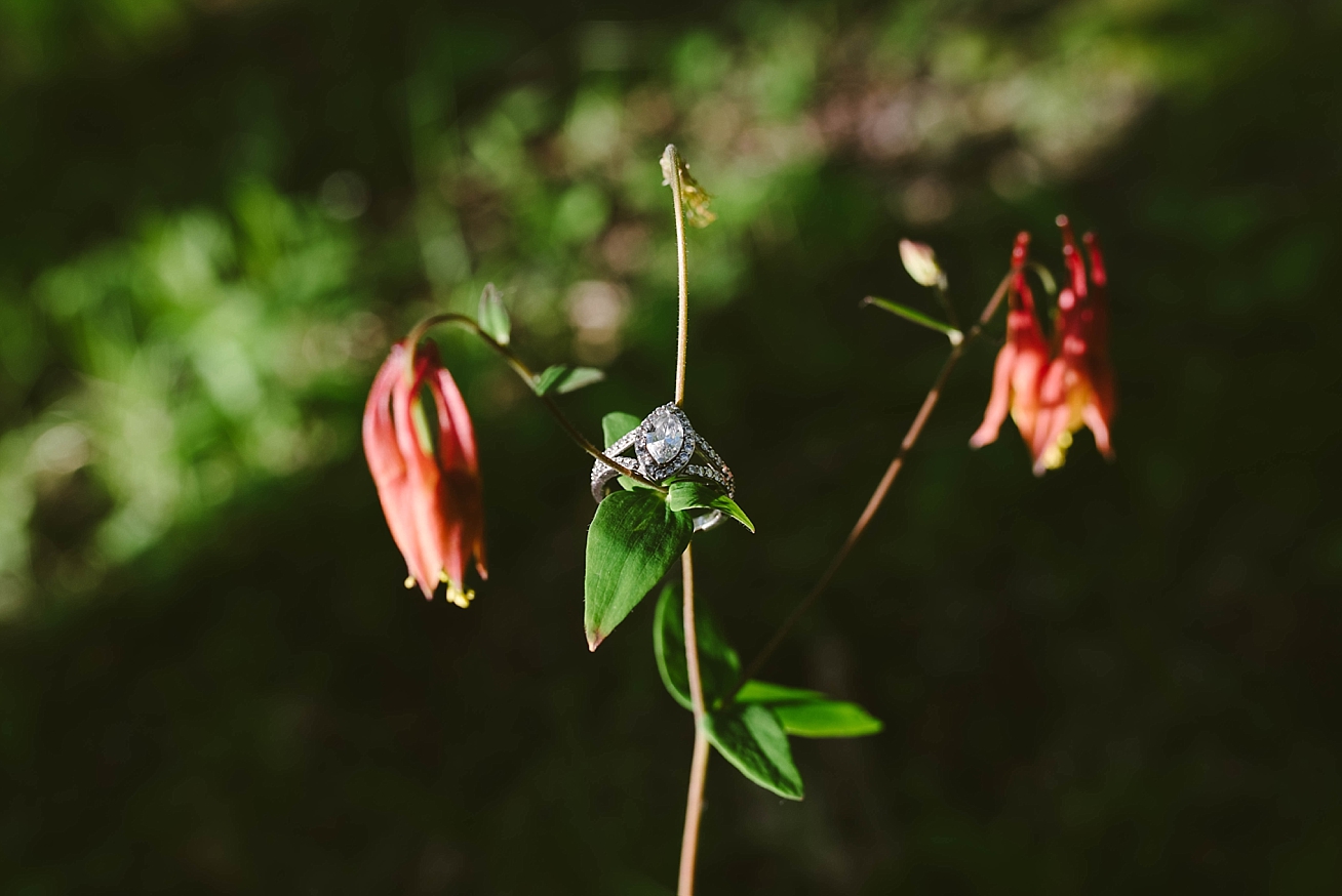 monticelloengagementsession