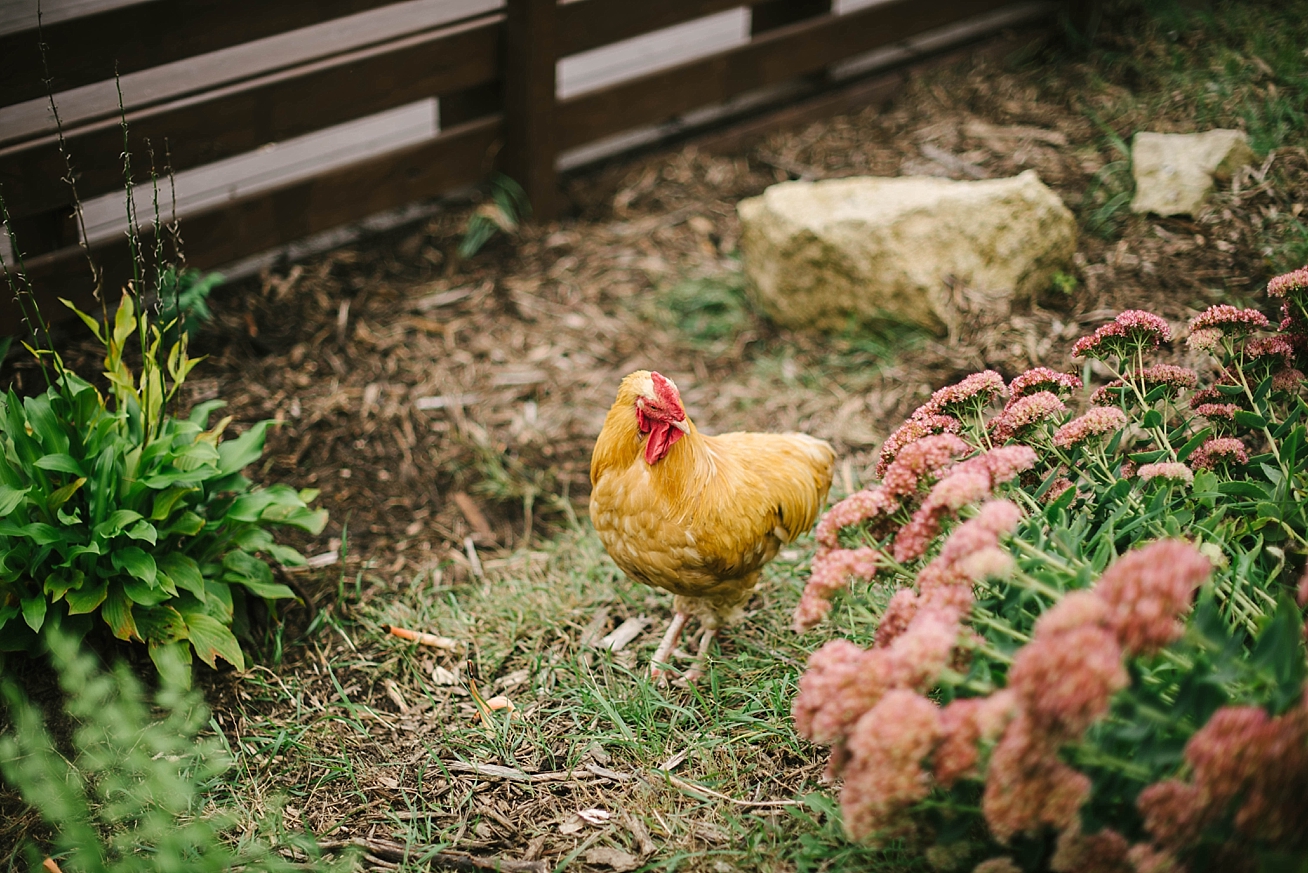 hopeglenfarmwedding