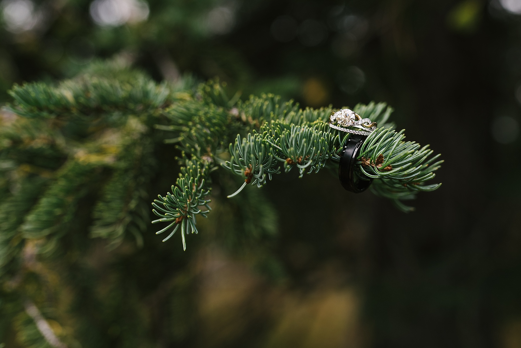 black hills fall wedding