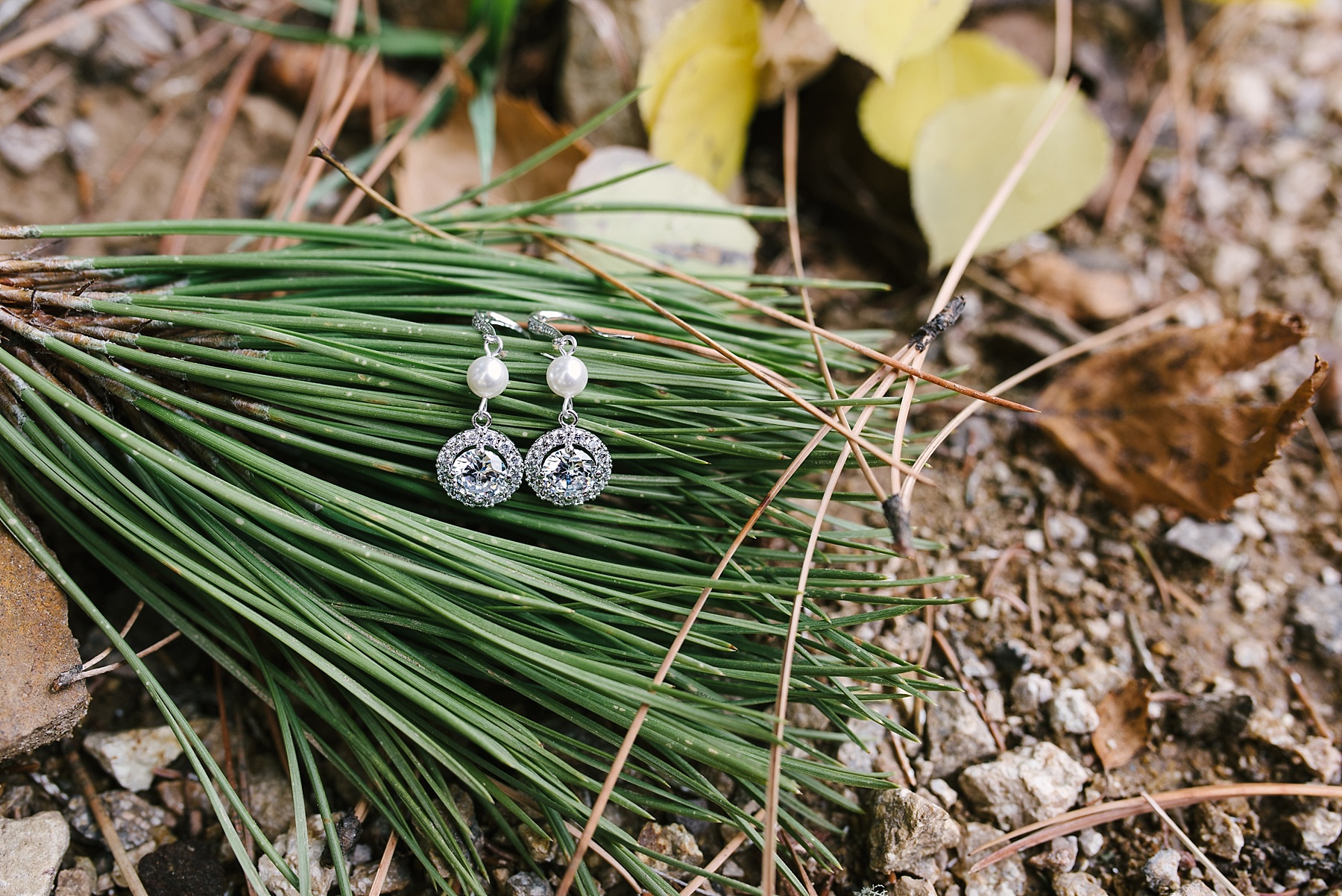 black hills fall wedding