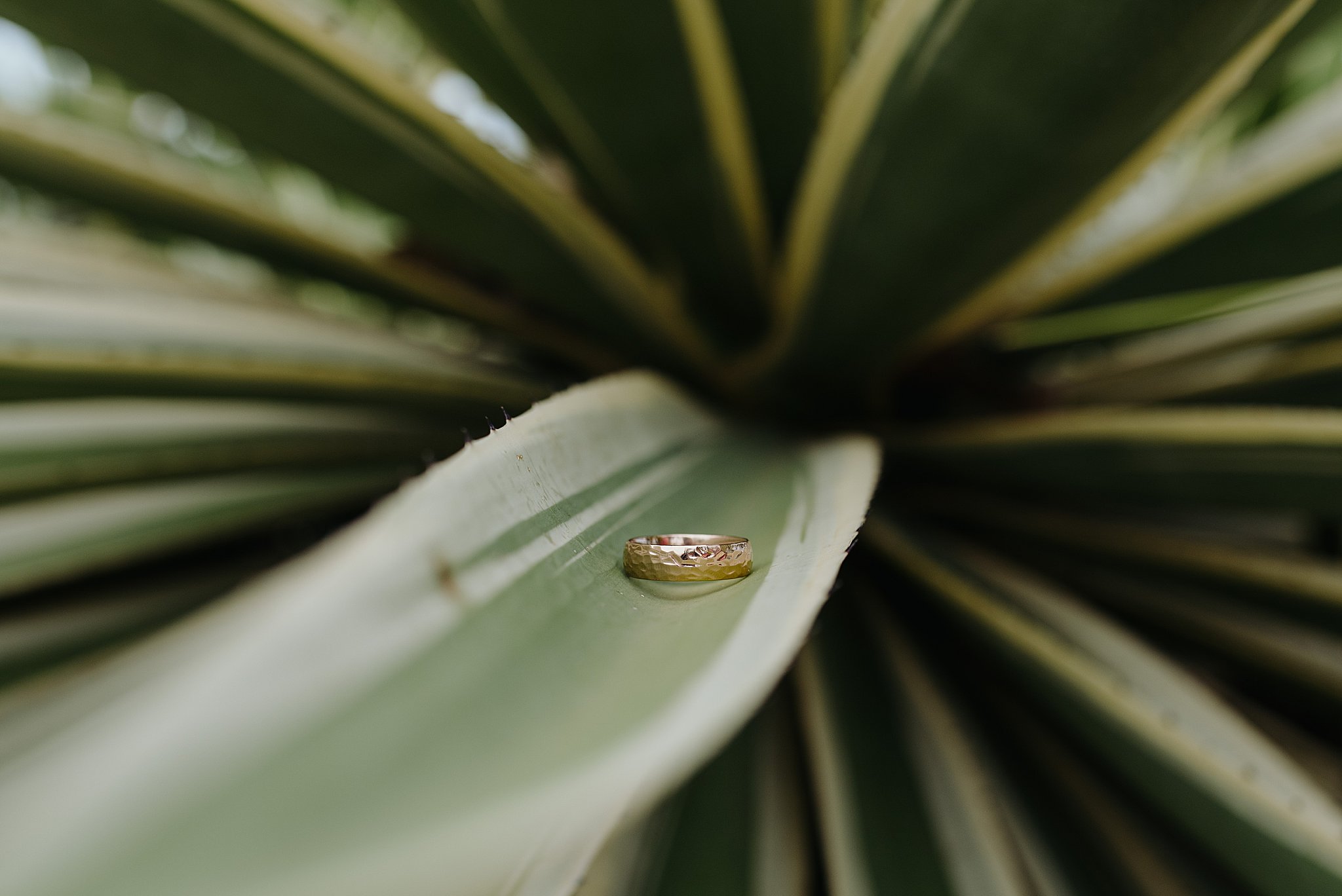 Villa Diosa Del Mar Costa Rica wedding