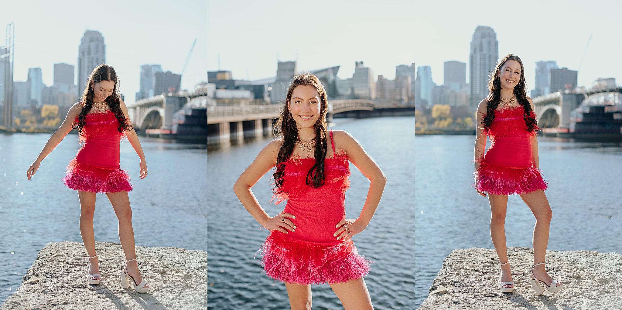 Minneapolis skyline portrait st. Anthony main